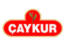 aykur