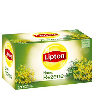 REZENE BITKI AYI