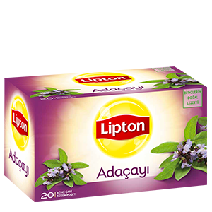 ADAAYI BITKI AYI