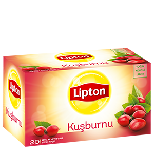 KUSBURNU MEYVE AYI