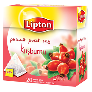 KUSBURNU PIRAMIT POSET AY