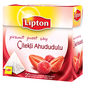 ILEKLI AHUDUDULU PIRAMIT POSET AY